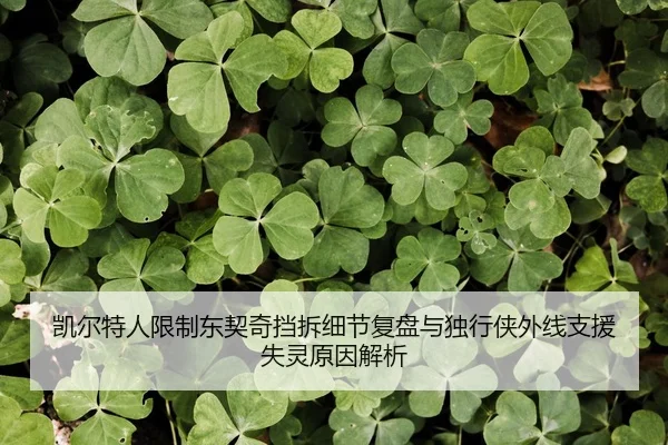 kai-er-te-ren-xian-zhi-dong-qi-qi-dang-chai-xi-jie-fu-pan-yu-du-xing-xia-wai-xian-zhi-yuan-shi-ling-yuan-yin-jie-xi-2-326.jpg